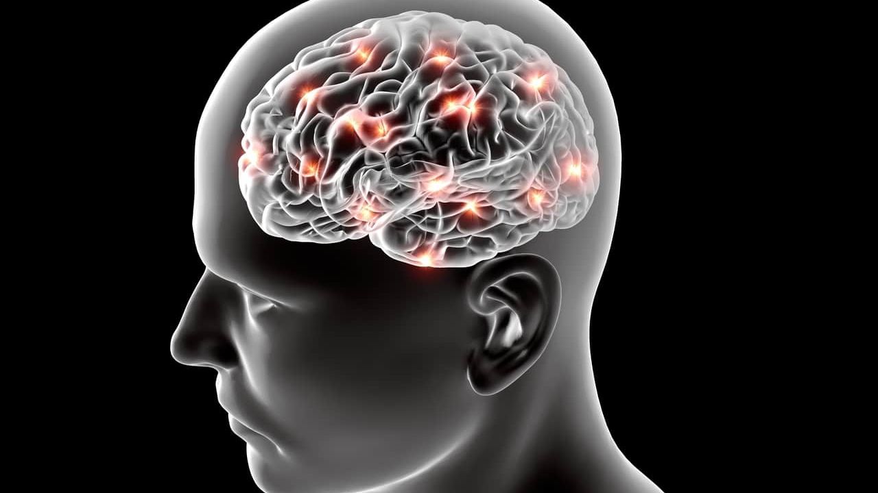 Médicos do Canadá identificaram doença cerebral misteriosa, sem causa definida